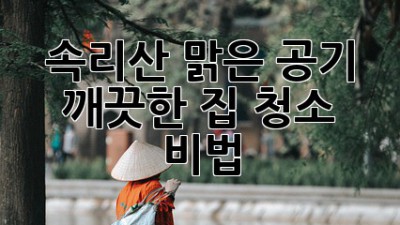 속리산 맑은 공기, 깨끗한 집 청소 비법!
