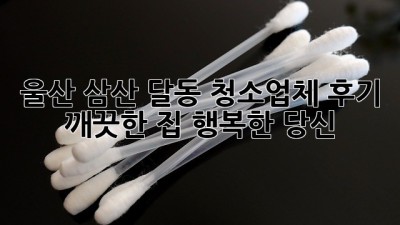 울산 삼산 달동 청소업체 후기: 깨끗한 집, 행복한 당신